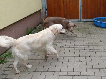 Pension_3