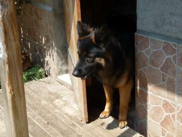 Pension_7