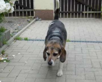 Pension_23