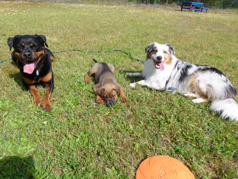 Pension_28