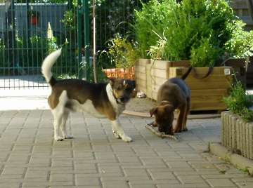 Pension_39