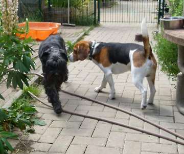 Pension_68