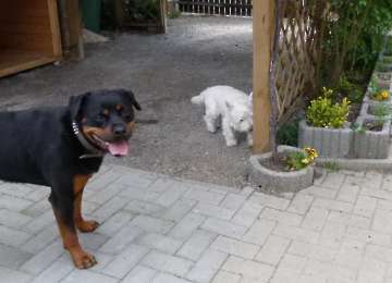 Pension_11
