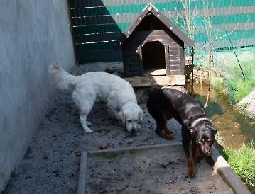 Pension_2