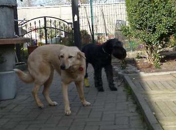 Pension_22