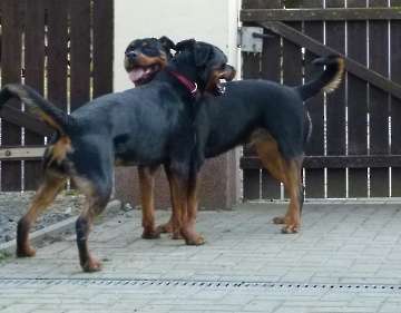 Pension_26