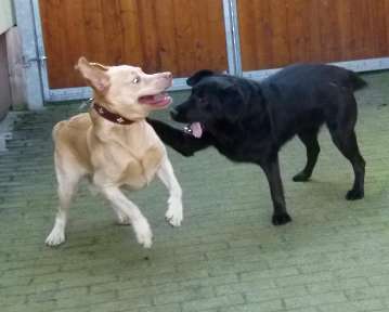 Pension_84