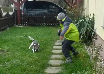 Hundepension_3