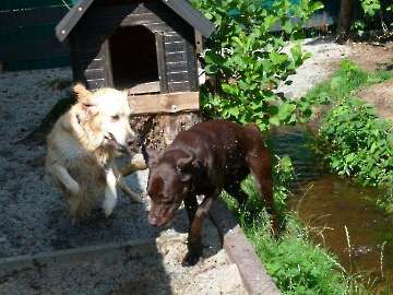 Sommer 2014_14