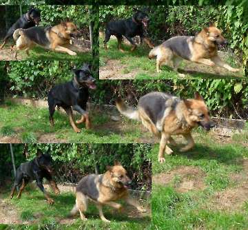 Sommer 2014_175
