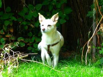 Sommer 2014_182