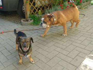 Sommer 2014_190