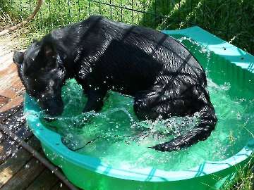 Sommer 2014_2