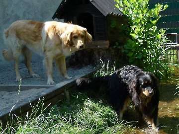 sommer 2014_23