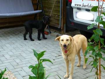 Sommer 2014_54