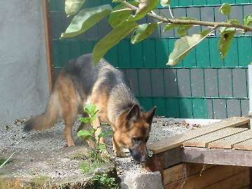 Sommer 2014_65