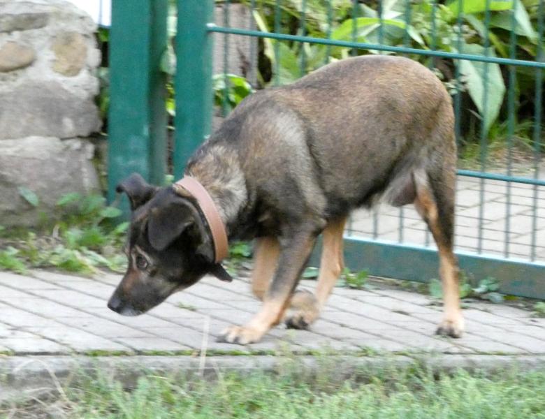 Pension_3
