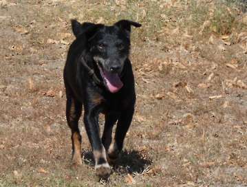 Pension_78