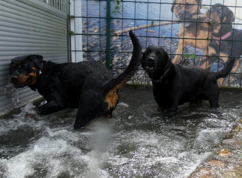 Pension_65