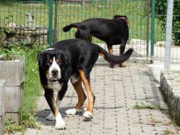Pension_10