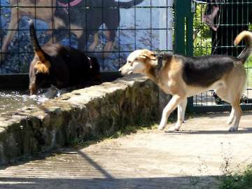 Pension_29