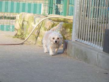 Pension_15
