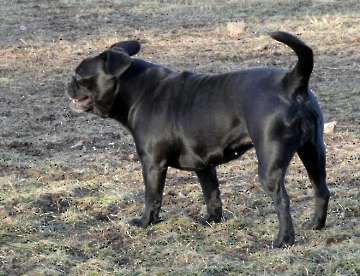Pension _2