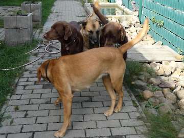 Pension_2