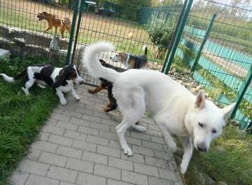 Pension_5