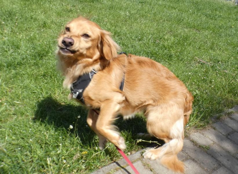 Pension_58
