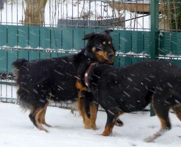 Pension_53