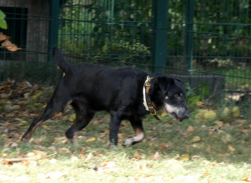 Pension_25