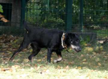 Pension_25