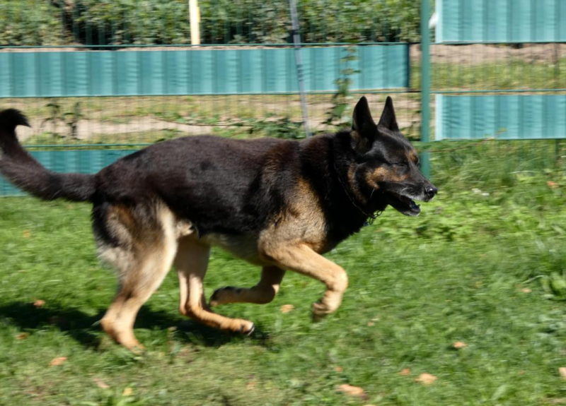 Pension_72