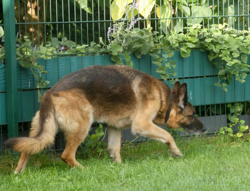 Pension_9