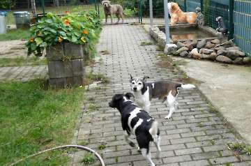 Pension_13