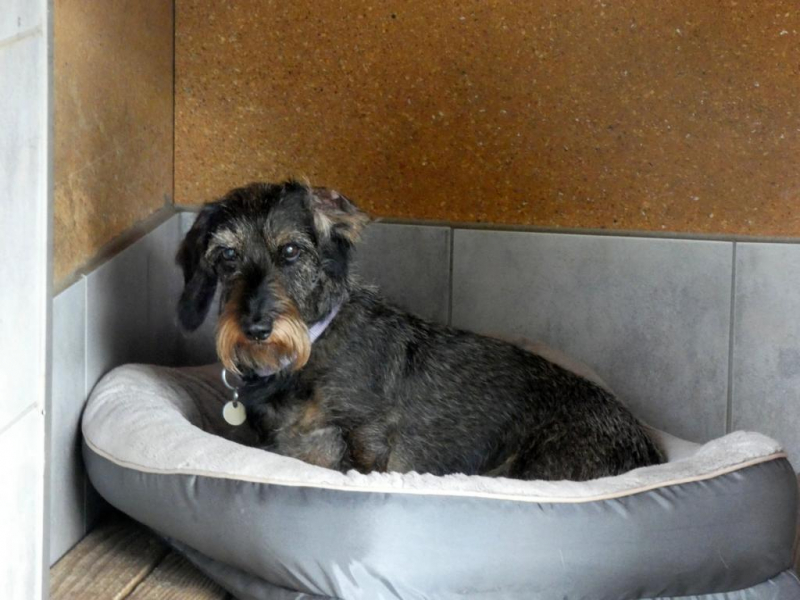 Pension_14