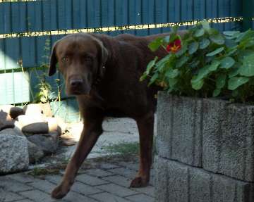 Pension_22