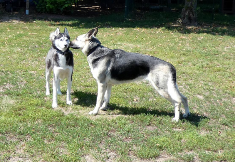 Pension_28