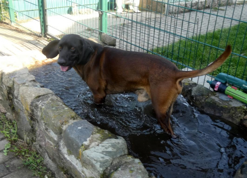 Pension_42