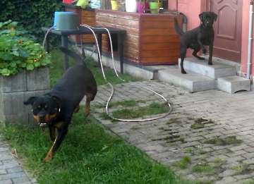 Pension_59