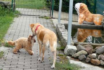 Pension_2