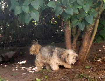 Pension_41