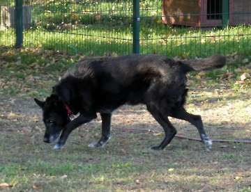 Pension_25