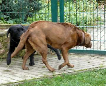 Pension_3