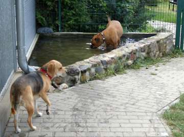 Pension_25