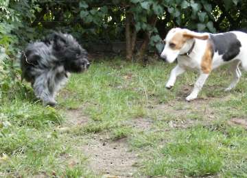 Pension_29