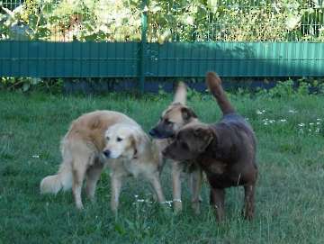 Pension_68