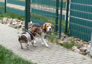 Pension_6