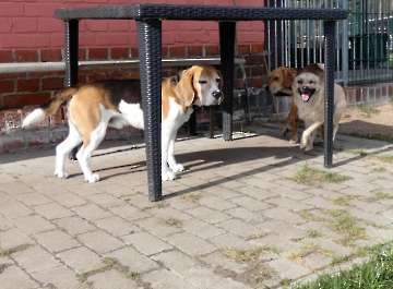Pension_53